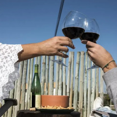 Отель Entre Vinhas e Mar гостиничный бар