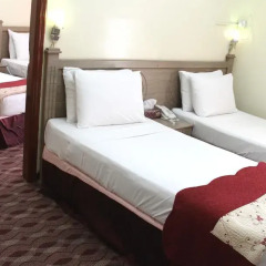 Alarraf Hotel комната для гостей фото 4