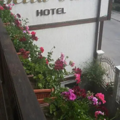 Bella Vista Family Hotel 3* Студия фото 11