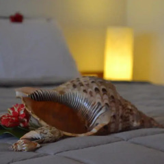 Отель Resort Relax Fiji 3* Стандартный номер с различными типами кроватей фото 4