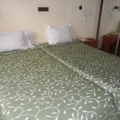 Hotel Paulista 2* Стандартный номер 2 отдельные кровати фото 11
