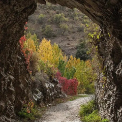 Отель Alixar de Guejar Sierra фото 12