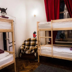 Гостиница Kot Begemot детские мероприятия