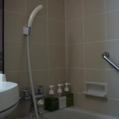 Asakusa Central Hotel 3* Стандартный номер с различными типами кроватей фото 5