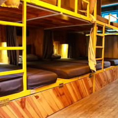 Gaia Hostel Кровать в общем номере фото 6