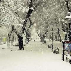 Отель The heart of the ancient city спортивное сооружение