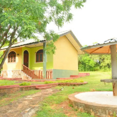 Отель Kodigahawewa Forest Resort 3* Номер Делюкс с различными типами кроватей фото 11