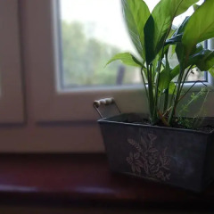 Green Hostel Wrocław Стандартный номер с различными типами кроватей фото 5
