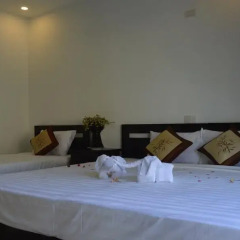 Отель Hoian Succulent Homestay 2* Номер Делюкс с различными типами кроватей фото 46