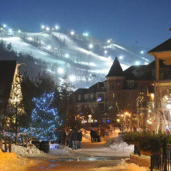 Отель Blue Mountain Resort фото 5