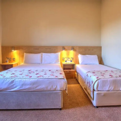 The Lucan Spa Hotel 3* Стандартный номер с разными типами кроватей фото 17