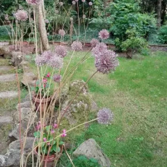 Отель B&B El Jardin de Aes фото 12