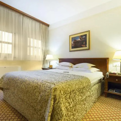 Hotel Zlatnik 4* Стандартный номер с различными типами кроватей фото 2