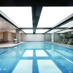 Отель Fraser Place Central Seoul Южная Корея, Сеул - отзывы, цены и фото номеров - забронировать отель Fraser Place Central Seoul онлайн бассейн фото 3