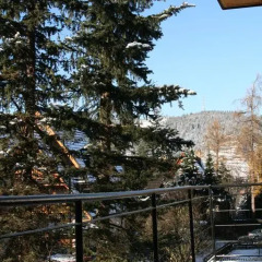 Отель Willa Na Wilcznik Закопане балкон