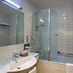Отель Clarion Grand Zlaty Lev 4* Полулюкс фото 3