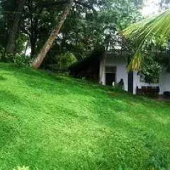 Отель Lali Villa Галле бассейн фото 3