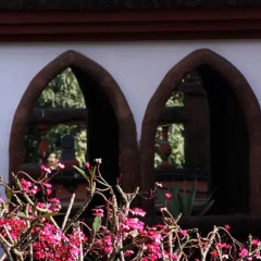 Отель Pride Sun Village Resort And Spa Гоа развлечения