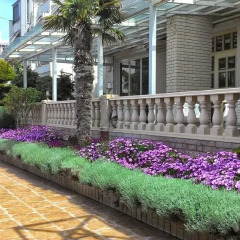 Hotel Vila Anna фото 2