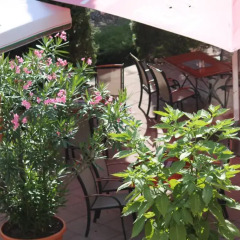 Отель Parkhotel Altes Kaffeehaus Германия, Вольфенбюттель - отзывы, цены и фото номеров - забронировать отель Parkhotel Altes Kaffeehaus онлайн