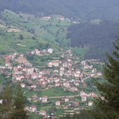 Отель Guesthouse Kutela Болгария, Чепеларе - отзывы, цены и фото номеров - забронировать отель Guesthouse Kutela онлайн