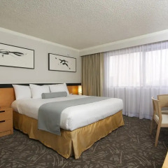 Miyako Hotel Los Angeles 3* Номер Делюкс с различными типами кроватей фото 4