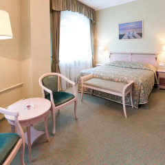 Империал Парк Отель & SPA 5* Номер Комфорт с различными типами кроватей фото 2