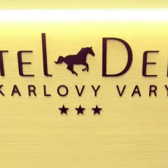 Отель Derby Чехия, Карловы Вары - 13 отзывов об отеле, цены и фото номеров - забронировать отель Derby онлайн спортивное сооружение