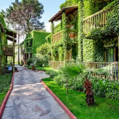 Amara Club Marine Nature Турция, Кемер - 4 отзыва об отеле, цены и фото номеров - забронировать отель Amara Club Marine Nature - All Inclusive онлайн