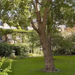 Отель Egerton House Великобритания, Лондон - отзывы, цены и фото номеров - забронировать отель Egerton House онлайн фото 2