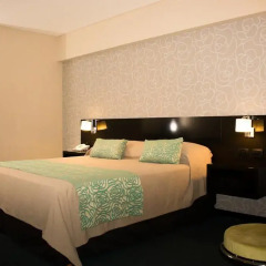 Gala Hotel y Convenciones 3* Номер Делюкс с двуспальной кроватью фото 4