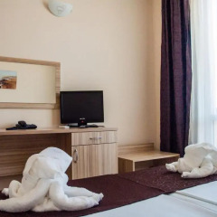 Отель Ivian Family Hotel Болгария, Равда - отзывы, цены и фото номеров - забронировать отель Ivian Family Hotel онлайн удобства в номере фото 2