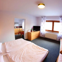 Apart Hotel Jablonec 3* Номер Бизнес фото 2