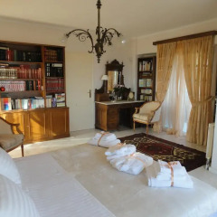 Отель Athens Top Hill Sea View Villa развлечения
