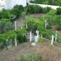 Отель Casa Barocca Salento Пресичче фото 2