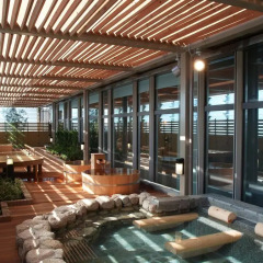 Apa Hotel & Resort Tokyo Bay Makuhari Тиба бассейн фото 3