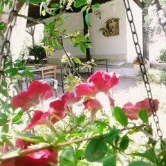 Отель B&B Li Ccoti Италия, Канноле - отзывы, цены и фото номеров - забронировать отель B&B Li Ccoti онлайн фото 12