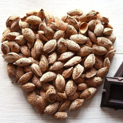 Отель Sogni di Cioccolato Порт-Эмпедокле пляж