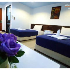 Отель Lotus Paradise Resort 3* Стандартный номер с различными типами кроватей