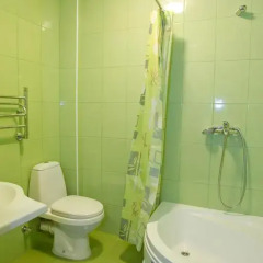 Гостиница Green Hosta 3* Полулюкс с двуспальной кроватью фото 14