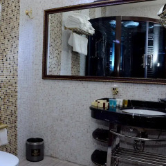 Отель Cron Palace Tbilisi 4* Студия фото 7