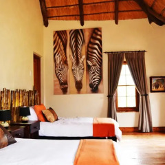 Отель Addo Bush Palace Private Reserve 4* Стандартный номер с различными типами кроватей фото 8