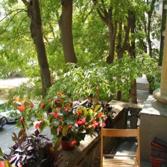 Hostel Sova Нови Сад фото 2