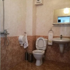 Отель Family Hotel Lipite Болгария, Правец - отзывы, цены и фото номеров - забронировать отель Family Hotel Lipite онлайн ванная