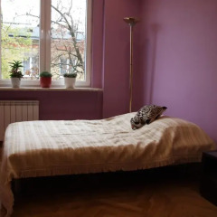 Отель Rokosowska ParaMi спа фото 2