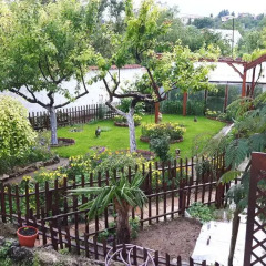 Отель Guesthouse Nikolovi Болгария, Генерал-Кантраджиево - отзывы, цены и фото номеров - забронировать отель Guesthouse Nikolovi онлайн фото 5