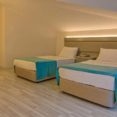 Palmea Hotel 4* Стандартный номер с двуспальной кроватью фото 3