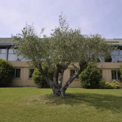 Parco Hotel Sassi фото 19
