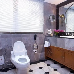 Отель Royal President Bangkok 4* Люкс с различными типами кроватей фото 4