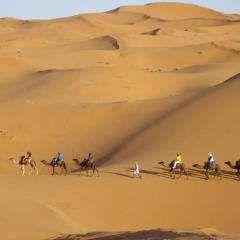 Отель Maison Merzouga Guest House Марокко, Мерзуга - отзывы, цены и фото номеров - забронировать отель Maison Merzouga Guest House онлайн приотельная территория фото 2